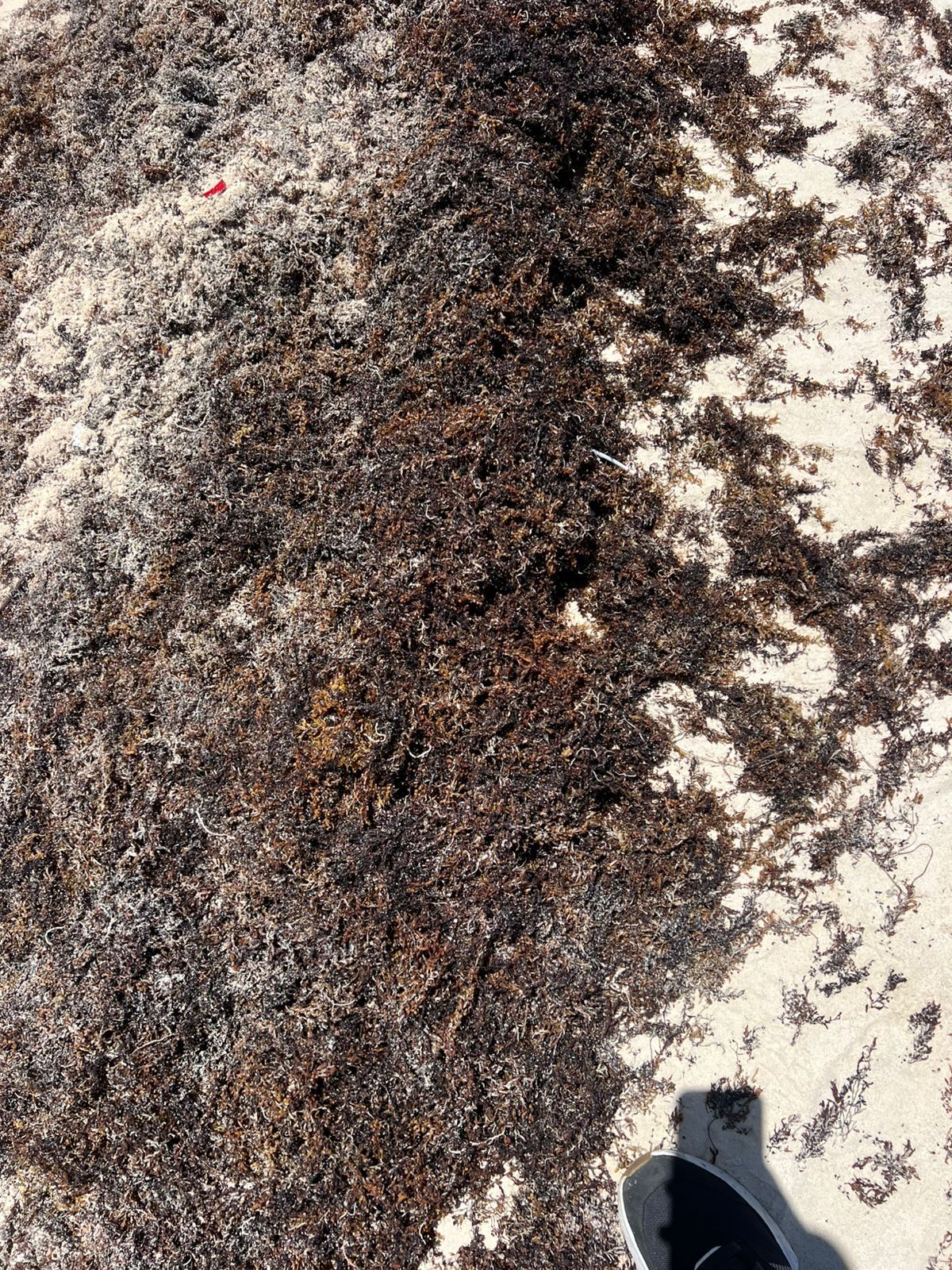 Imagen del servicio