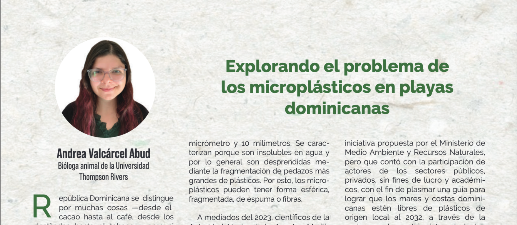 Imagen destacada