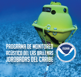 Programa de Monitoreo Acústico de las Ballenas Jorobadas del Caribe